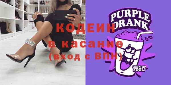 ГАЛЛЮЦИНОГЕННЫЕ ГРИБЫ Богданович