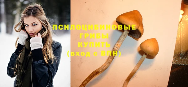 ГАЛЛЮЦИНОГЕННЫЕ ГРИБЫ Богданович
