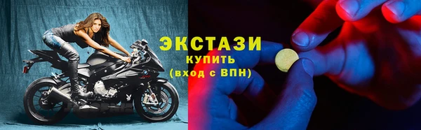 ГАЛЛЮЦИНОГЕННЫЕ ГРИБЫ Богданович