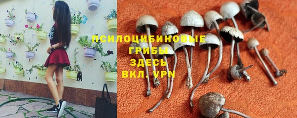 таблы Вязники