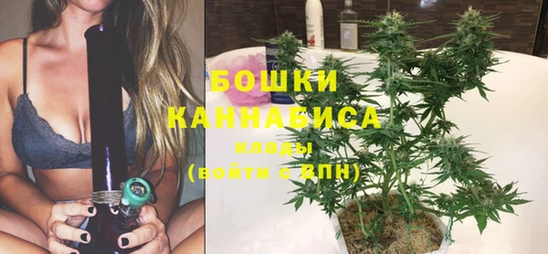 прущие грибы Вяземский
