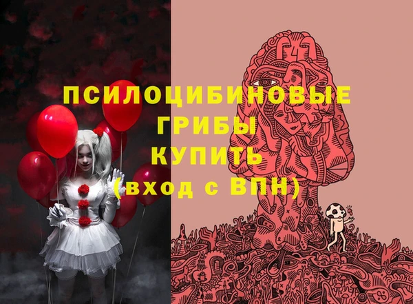 ГАЛЛЮЦИНОГЕННЫЕ ГРИБЫ Богданович