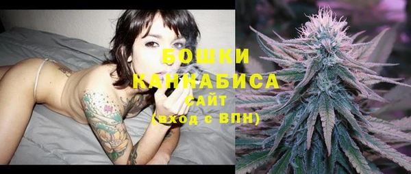 меф Богородицк