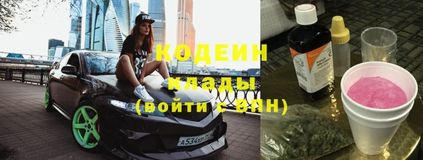 ГАЛЛЮЦИНОГЕННЫЕ ГРИБЫ Богданович