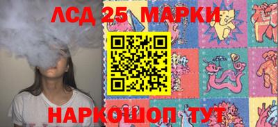 spice Камышлов